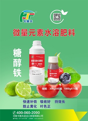P- 糖醇铁