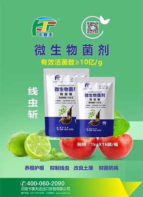 D-线虫斩