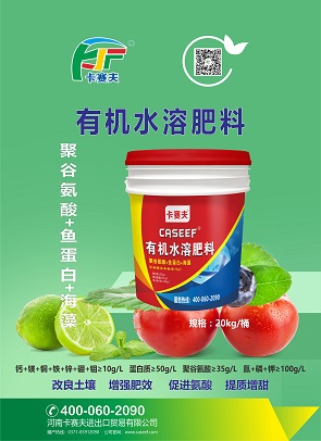 T-有机-圆桶鱼蛋白
