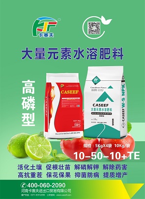 D- 高磷